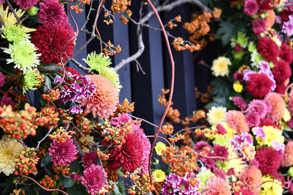 南陽の菊まつり-2