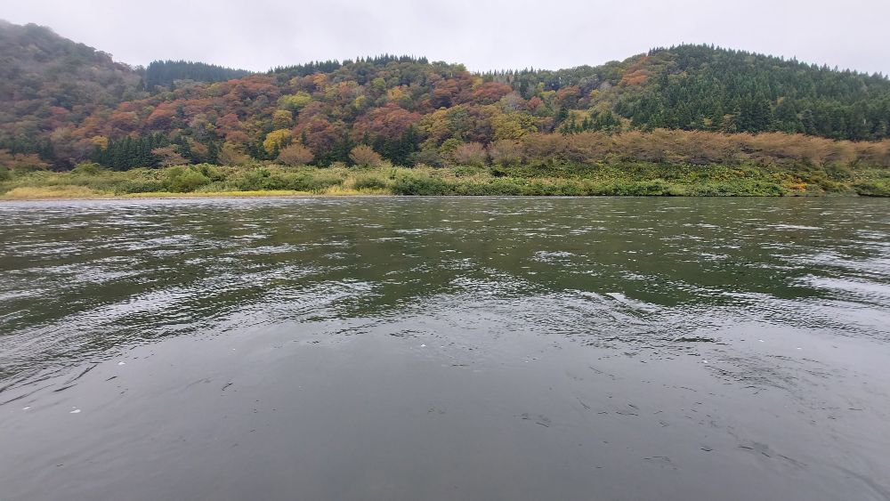 最上川舟下り-19