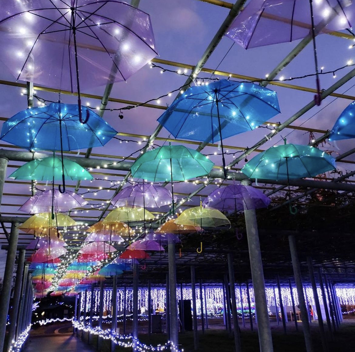 藤島イルミネーション-引用