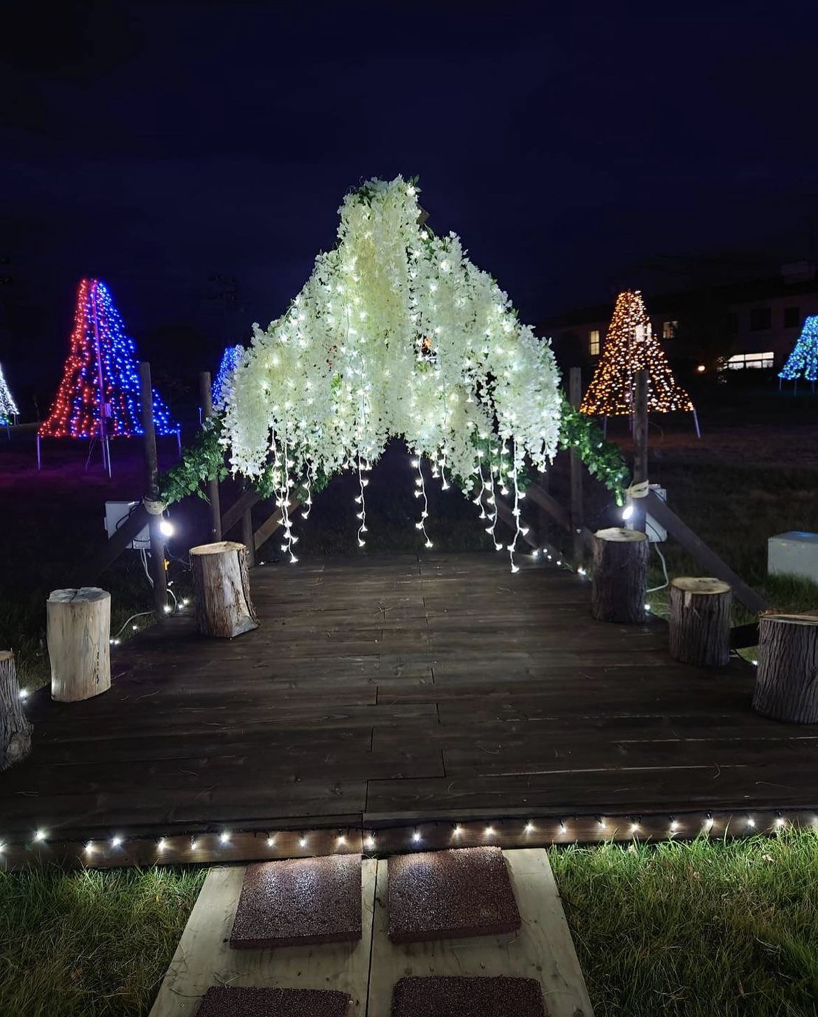 藤島イルミネーション-引用2