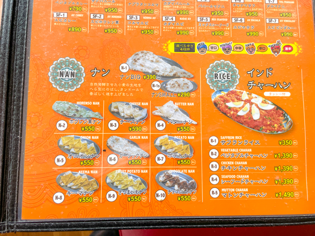 インドカレーラグパティ-09