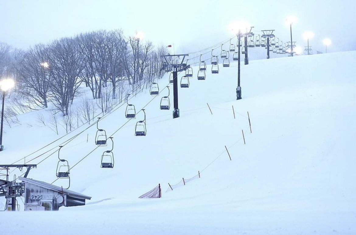 ジャングルジャングル-引用2