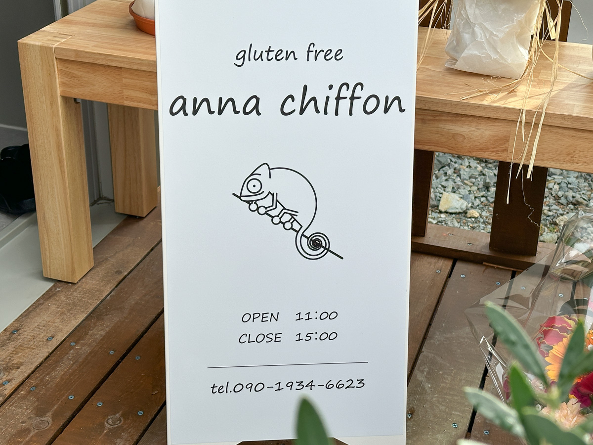 anna-chiffon (11)