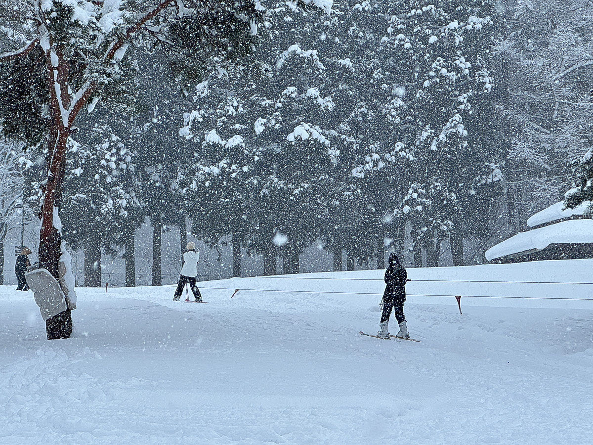 冬こそやまがた Instagram投稿キャンペーン-ゲレンデ (5)