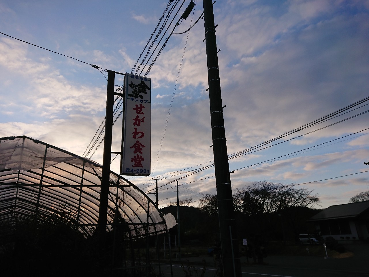 せがわ食堂　外観 (1)