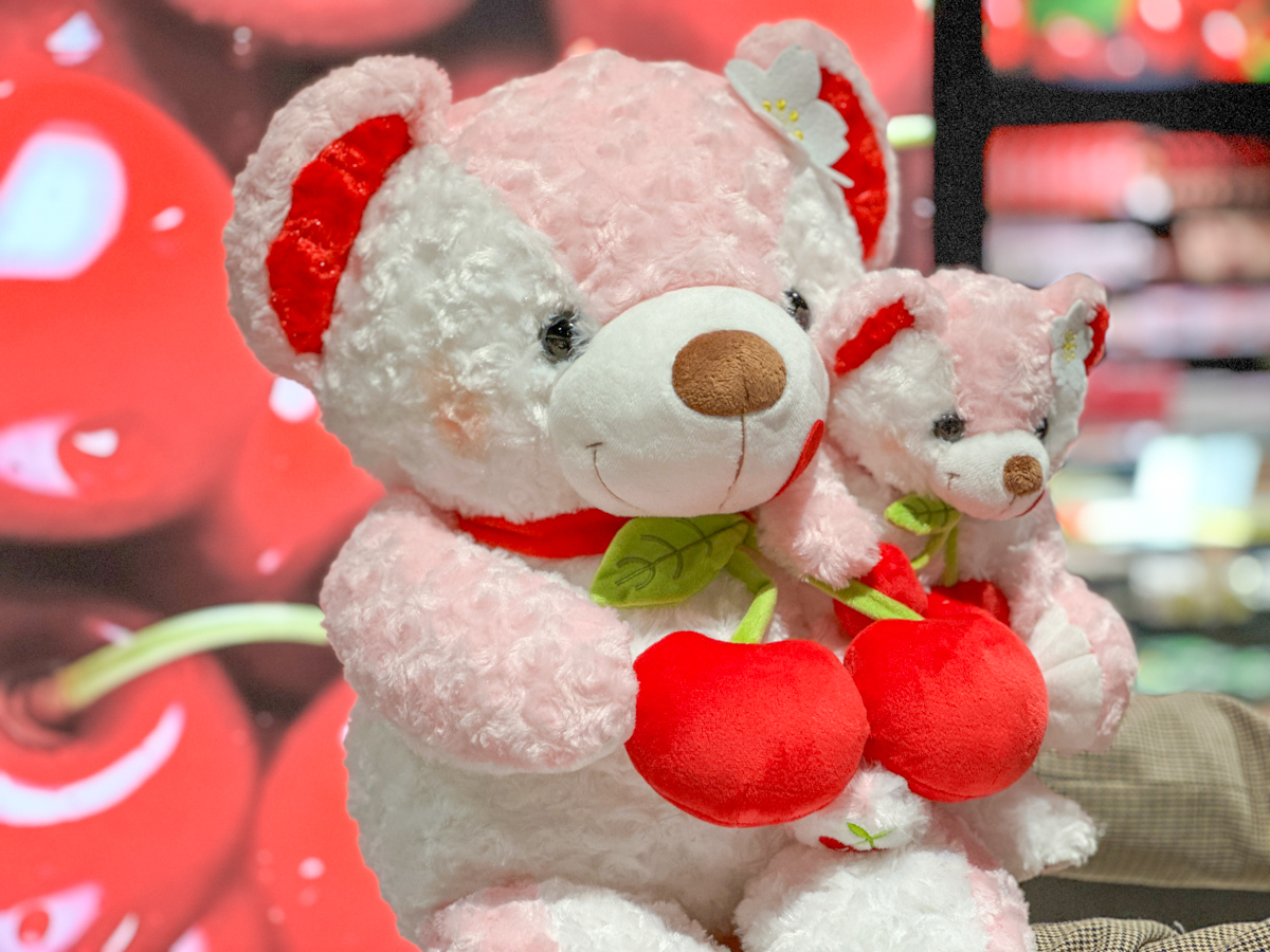 チェリーランド-18