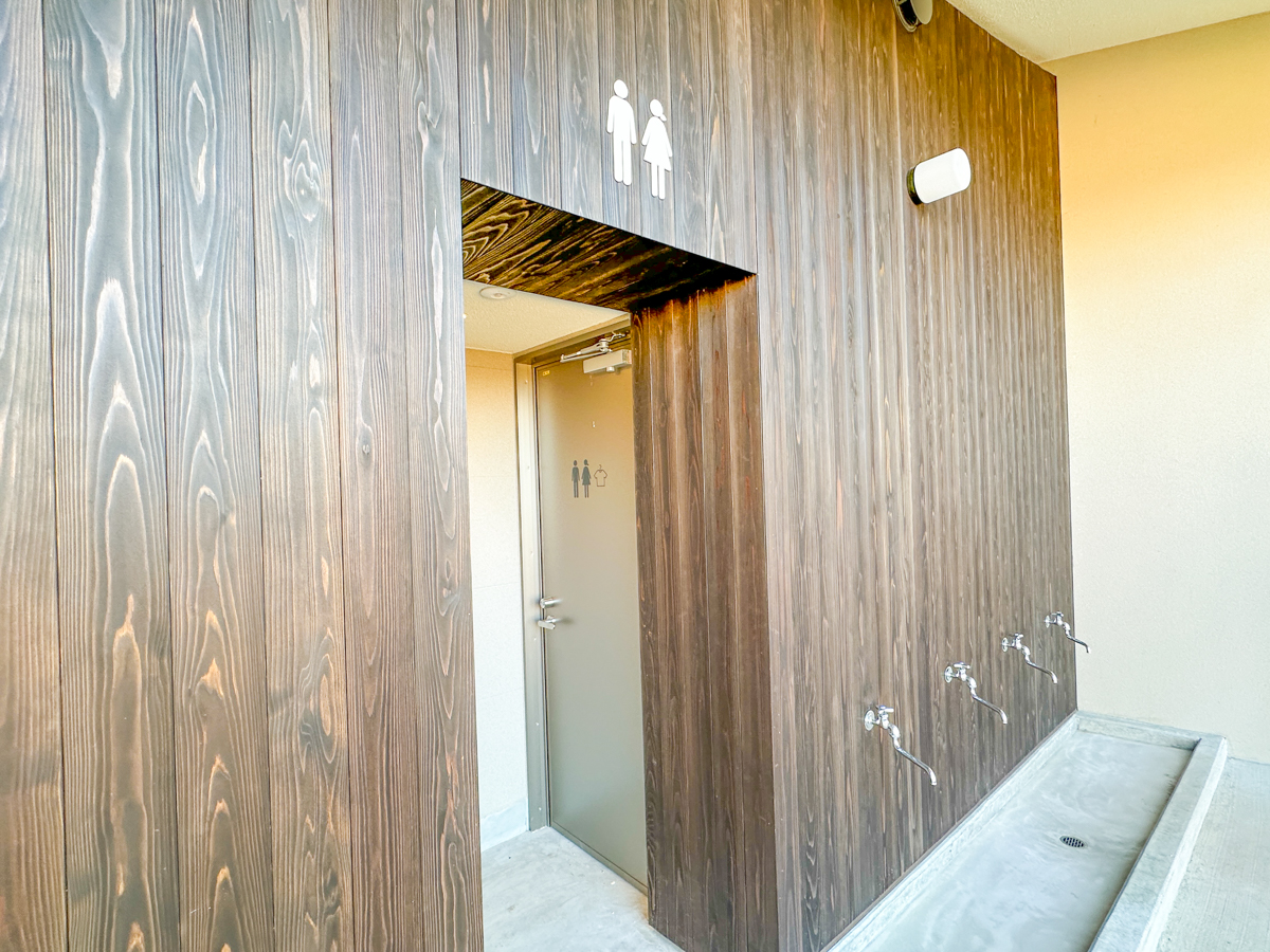 クラッピンサガエ-41