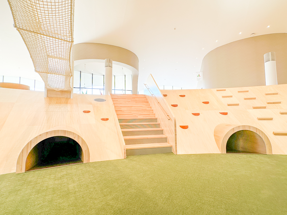 クラッピンサガエ-29