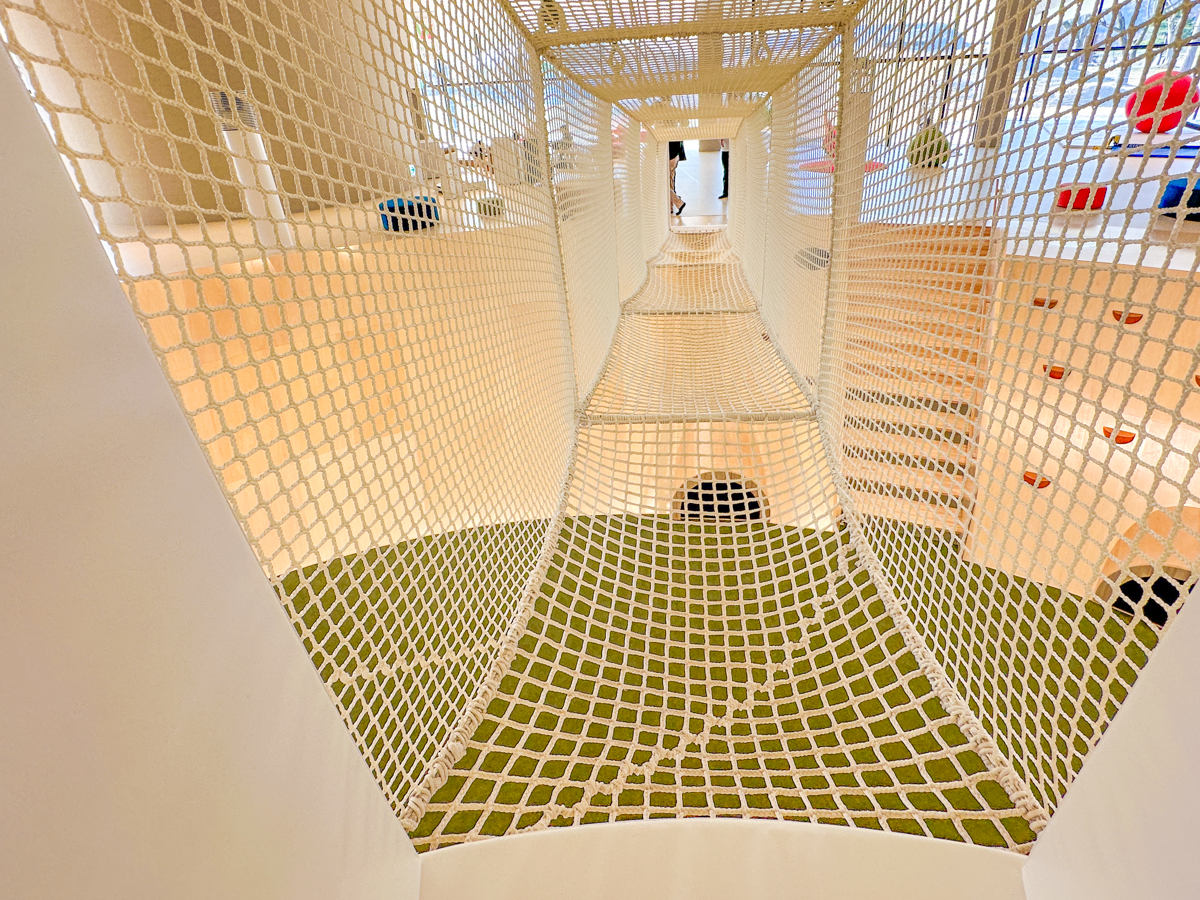 クラッピンサガエ-35