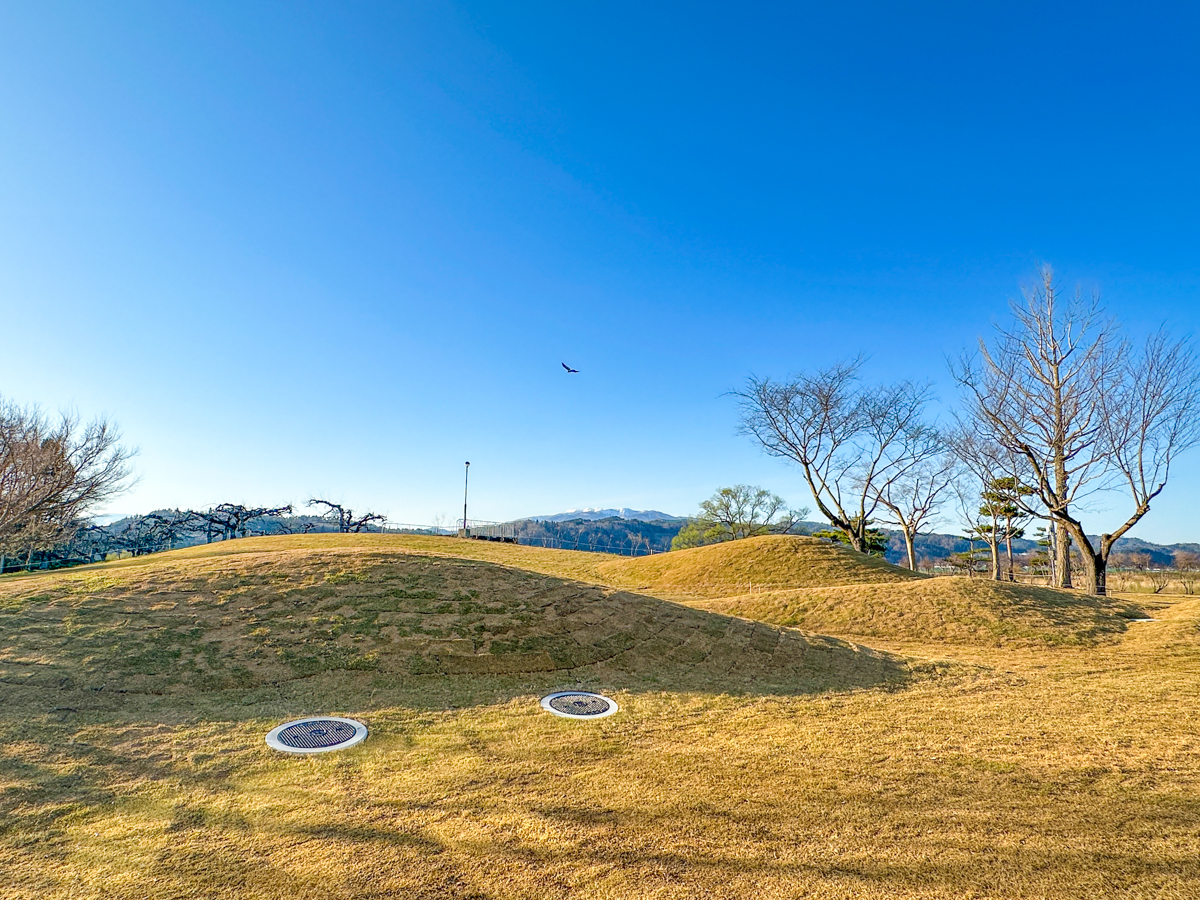 クラッピンサガエ-42