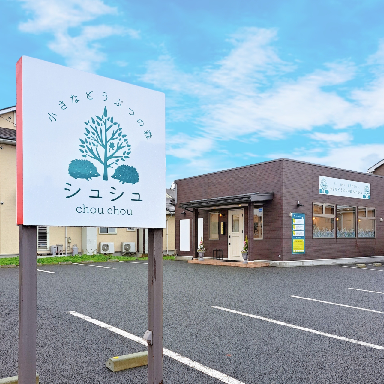 小さなどうぶつの森シュシュ-2