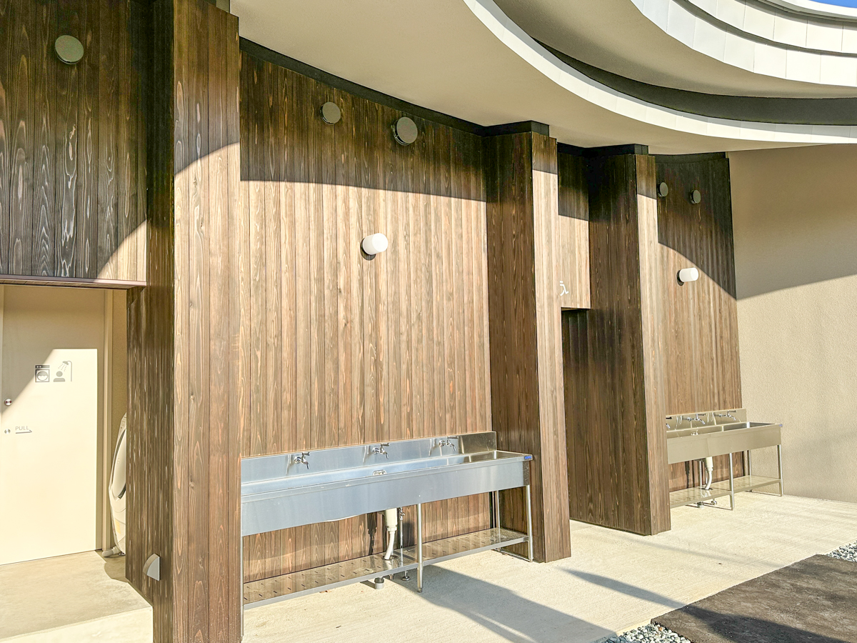 クラッピンサガエ-44