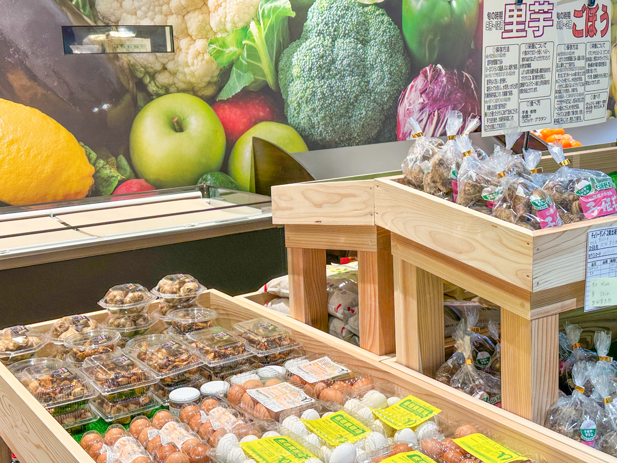 チェリーランド-09