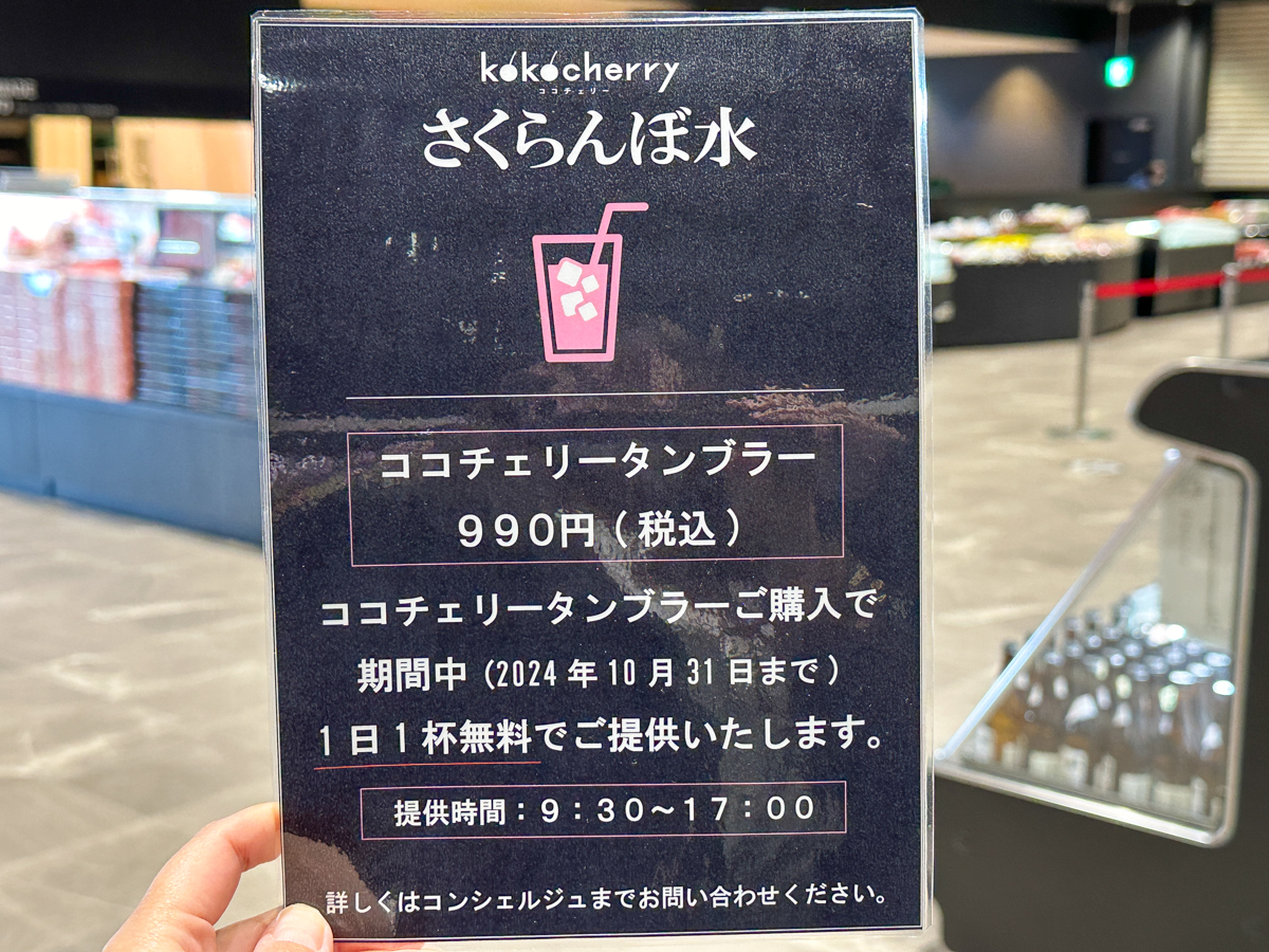 チェリーランド-43