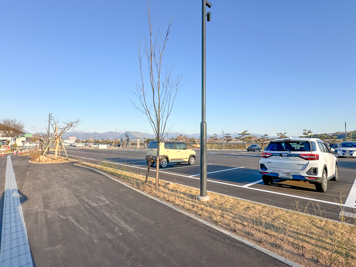 クラッピンサガエ-49