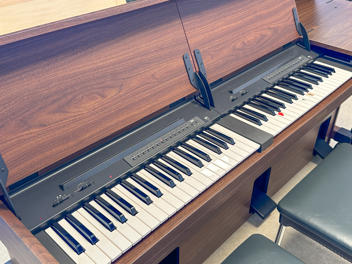 クラッピンサガエ-20