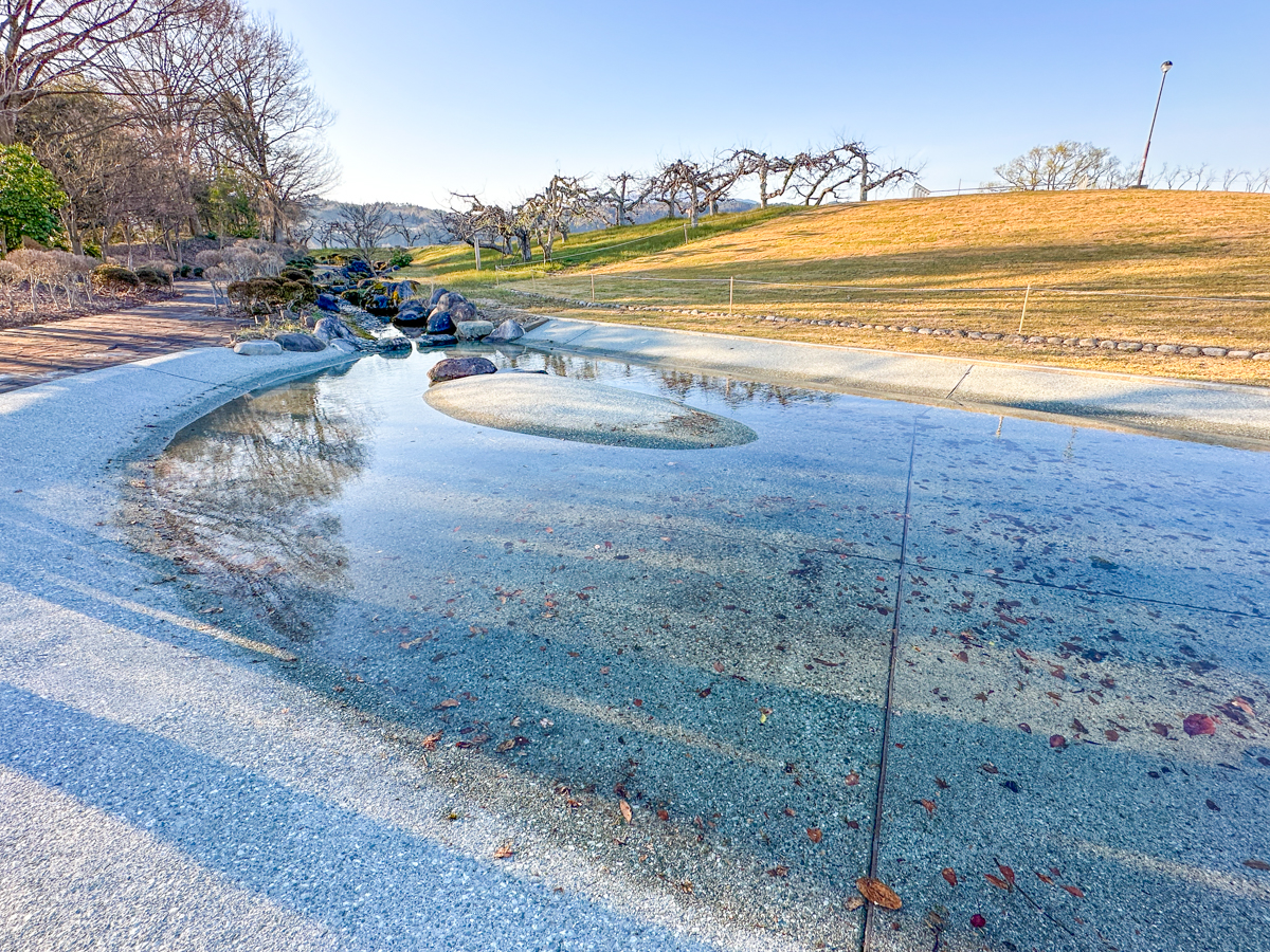 クラッピンサガエ-47