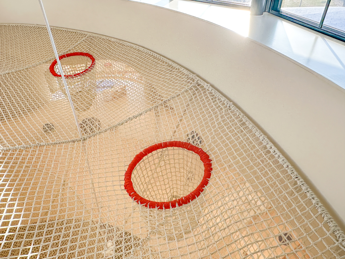 クラッピンサガエ-33