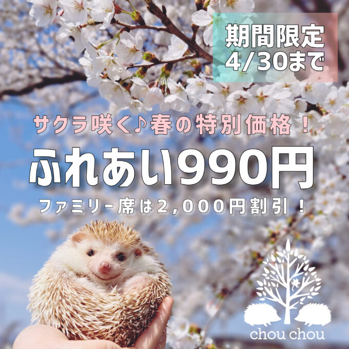 inbound3682861970705386418