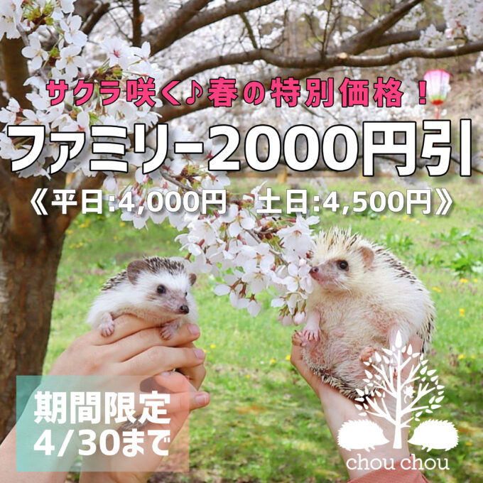 inbound7873347663758521940