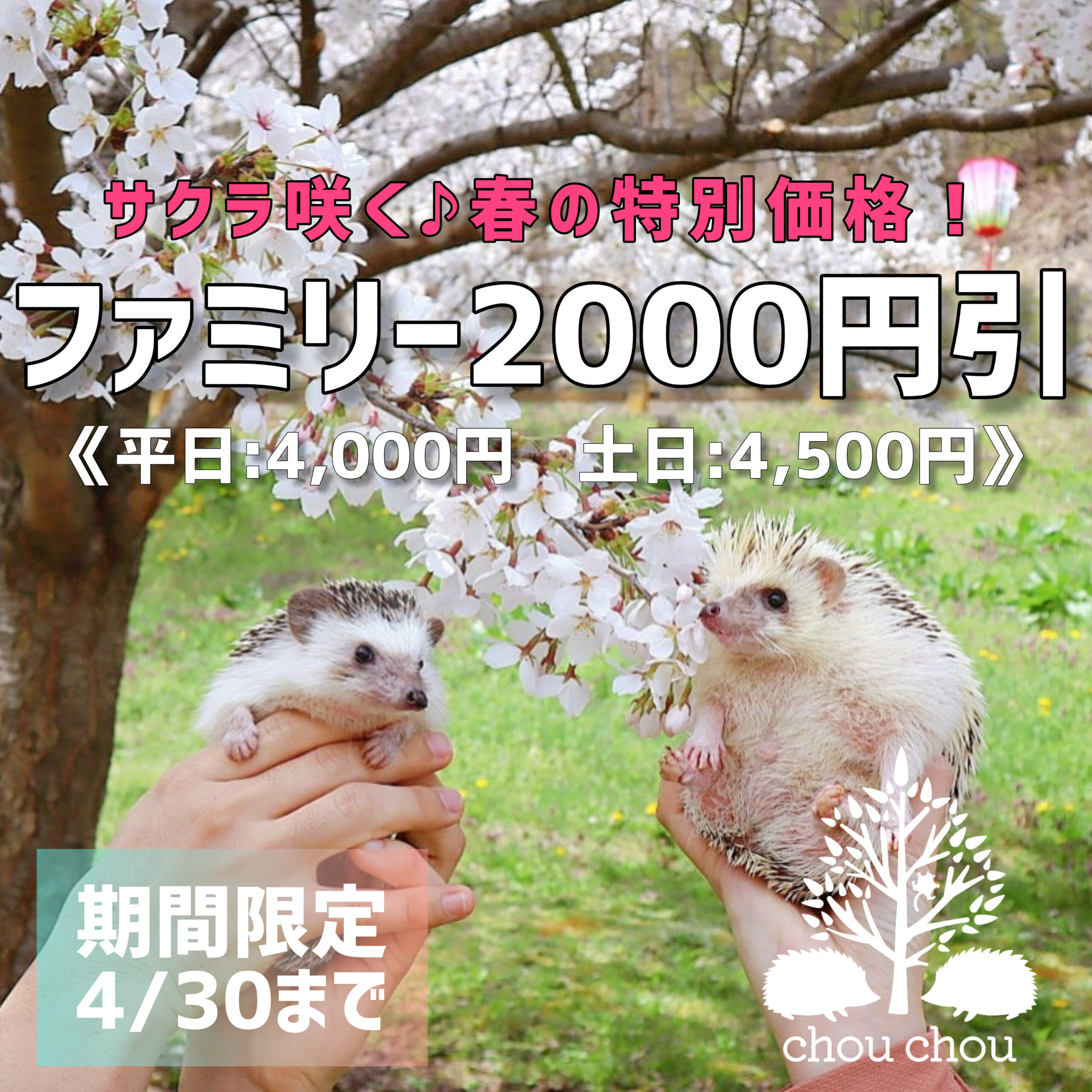 inbound7873347663758521940