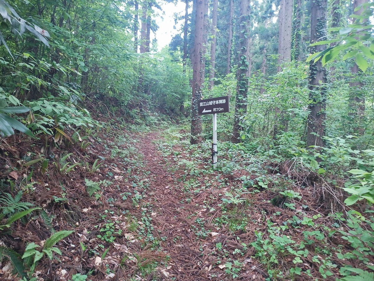 LINE_ALBUM_長谷堂城跡_240513_10