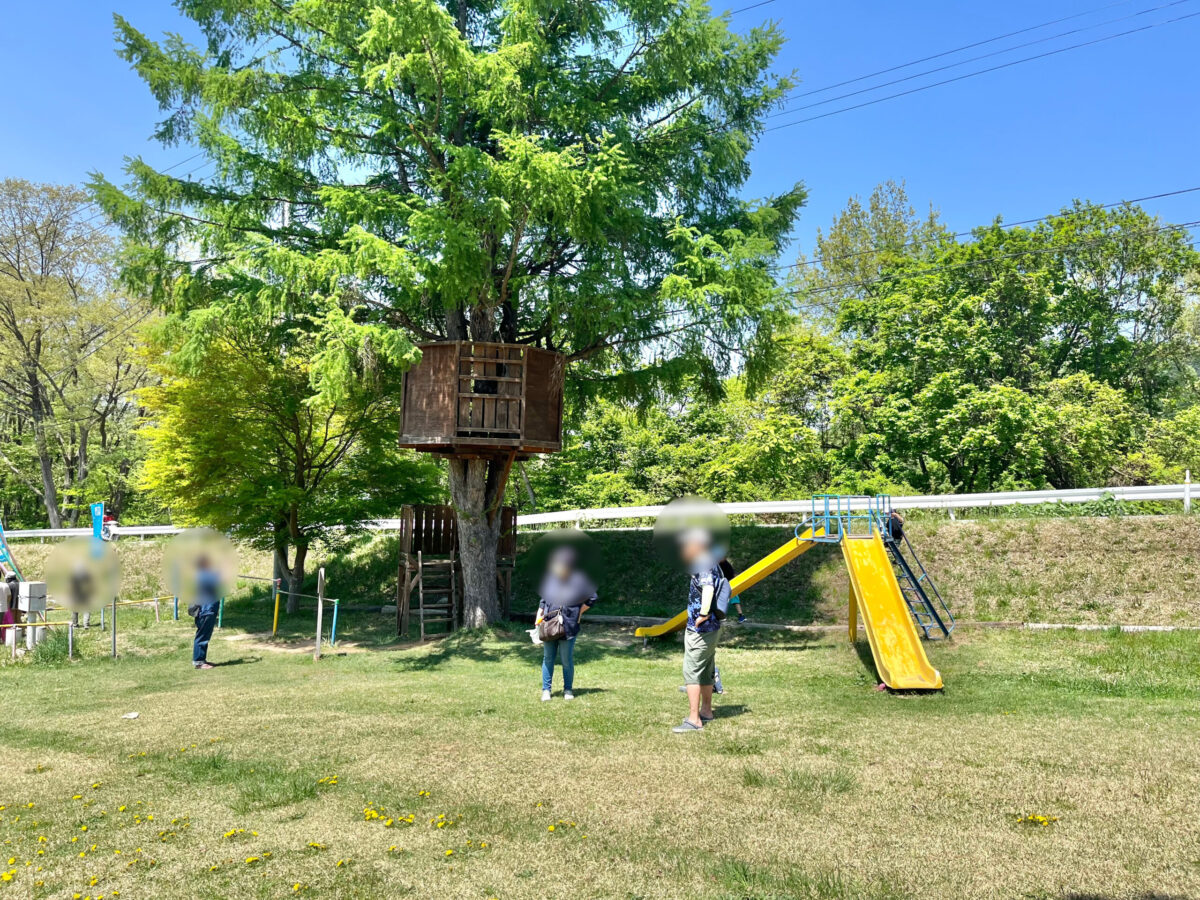 猿倉スキー場15