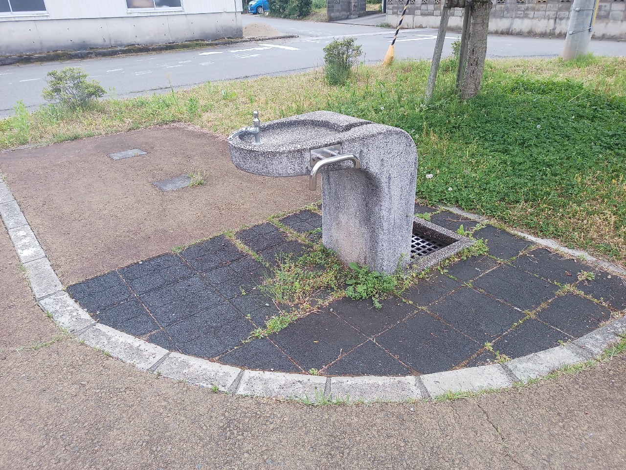 LINE_ALBUM_長谷堂城跡_240513_62