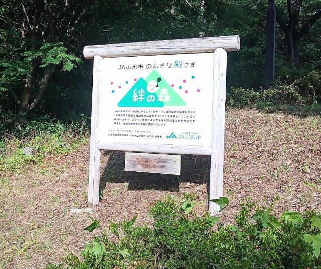 LINE_ALBUM_盃山_240630_278