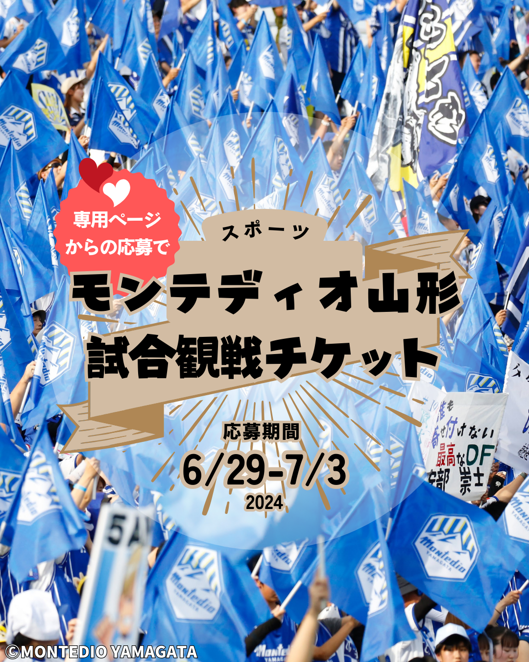 プレゼント企画