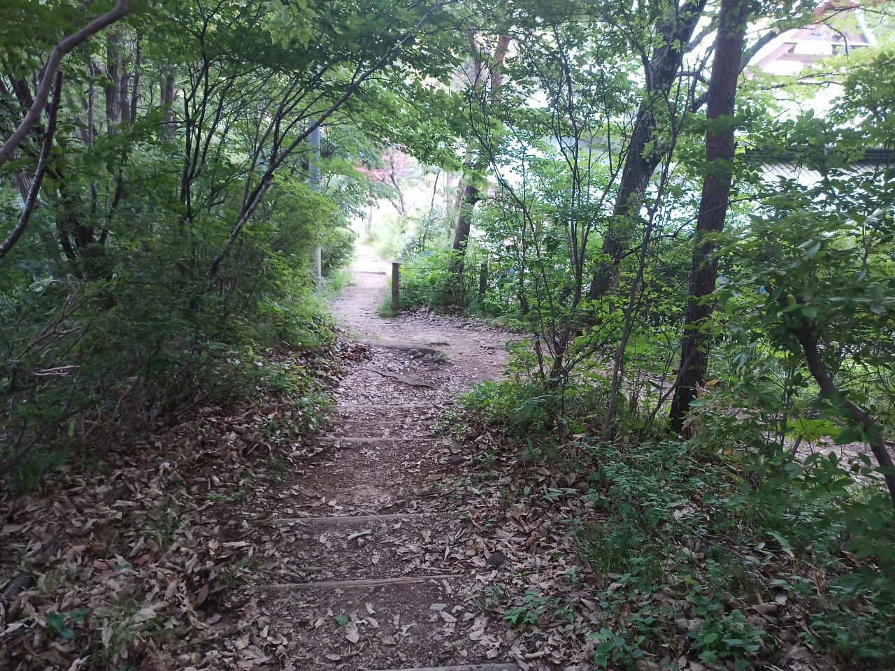 LINE_ALBUM_盃山_240630_49