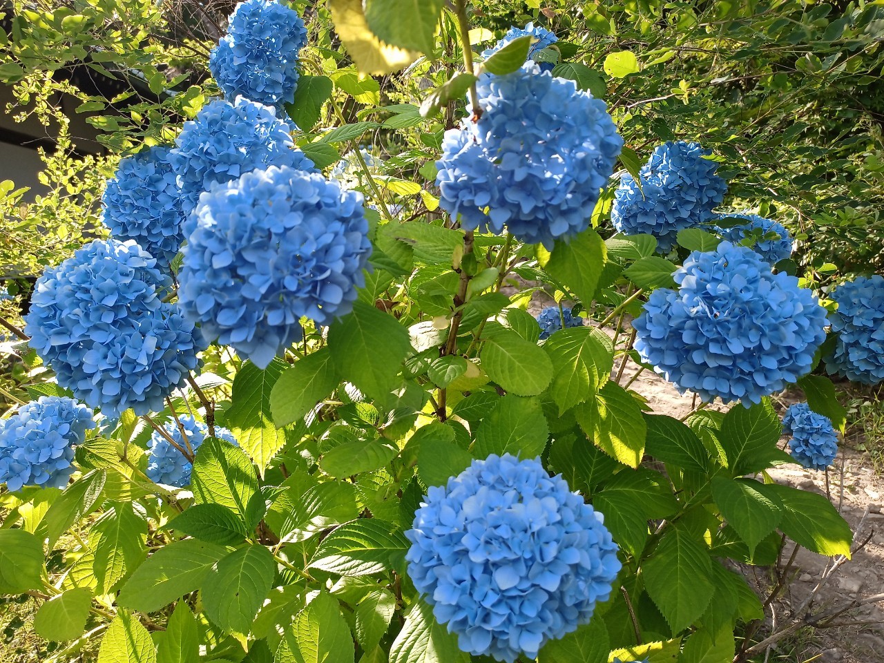 LINE_ALBUM_盃山_240630_211