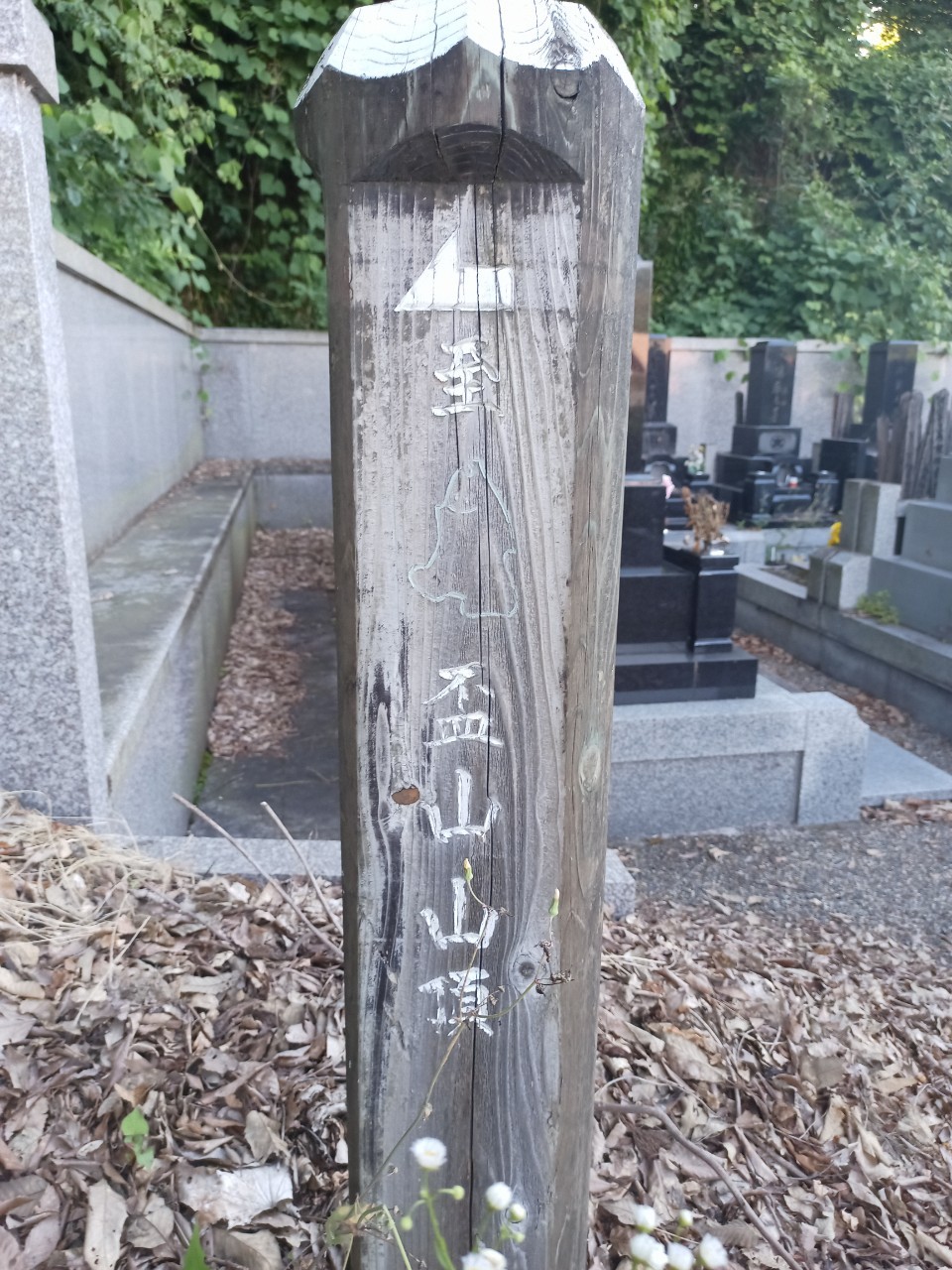 LINE_ALBUM_盃山_240630_82