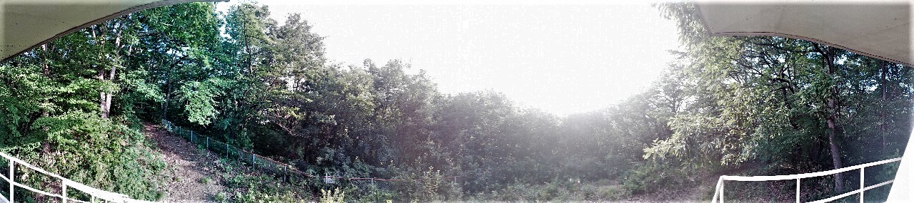 LINE_ALBUM_盃山_240630_74 (2)