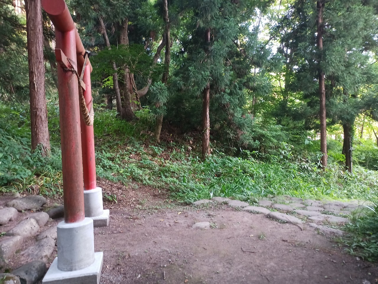 LINE_ALBUM_盃山_240630_15