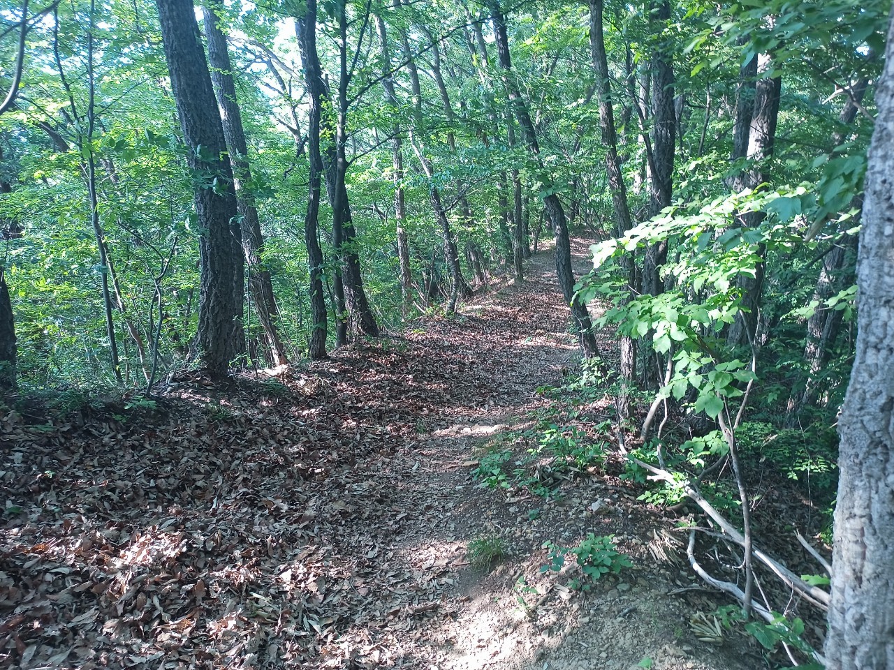 LINE_ALBUM_盃山_240630_114