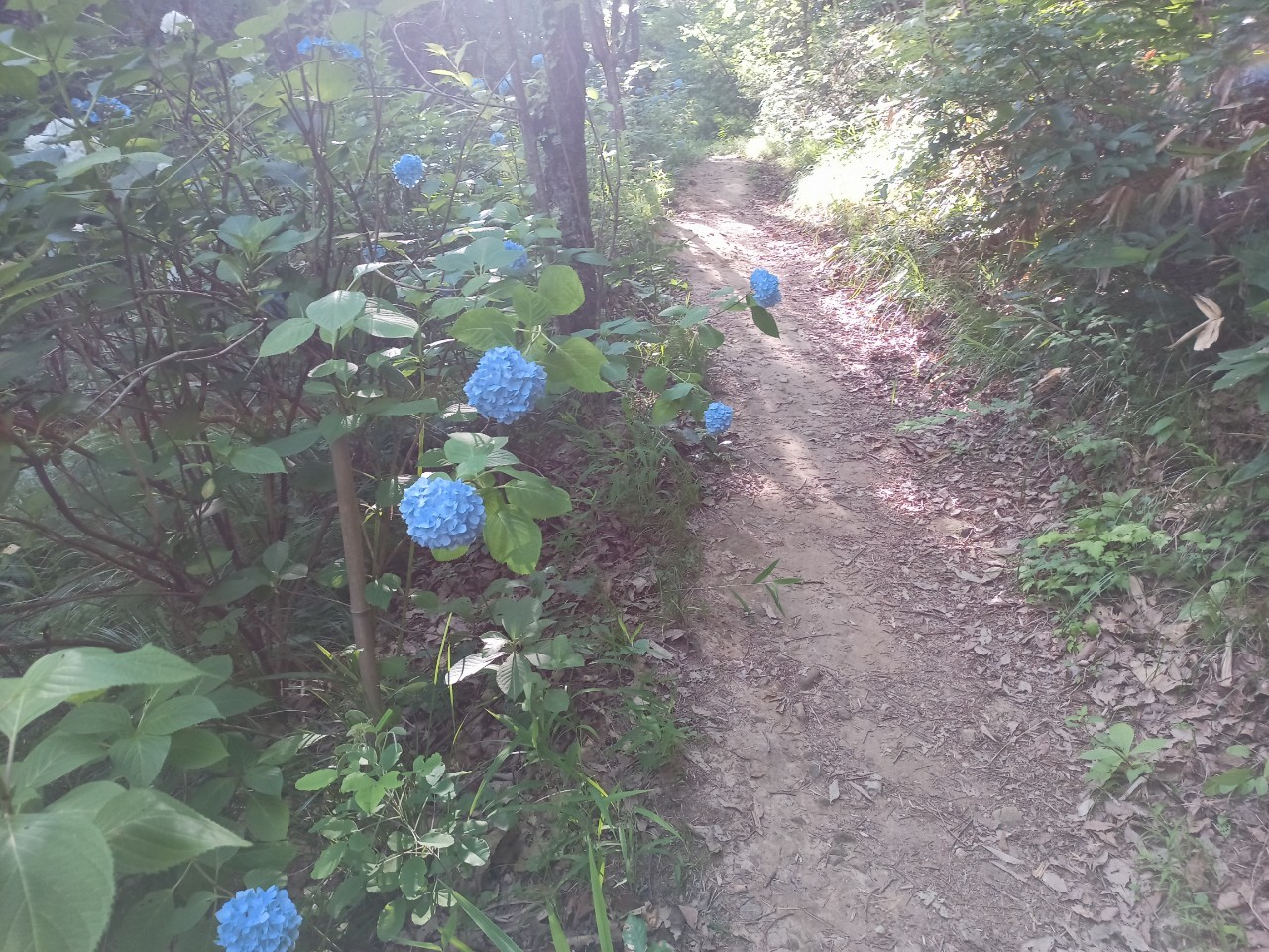 LINE_ALBUM_盃山_240630_198