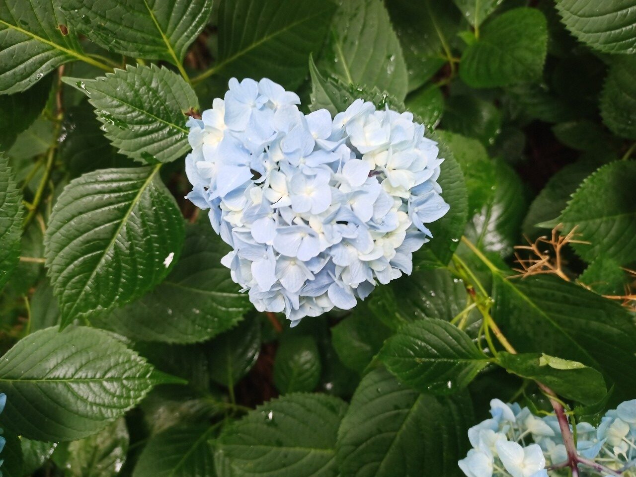 LINE_ALBUM_盃山2_240630_274