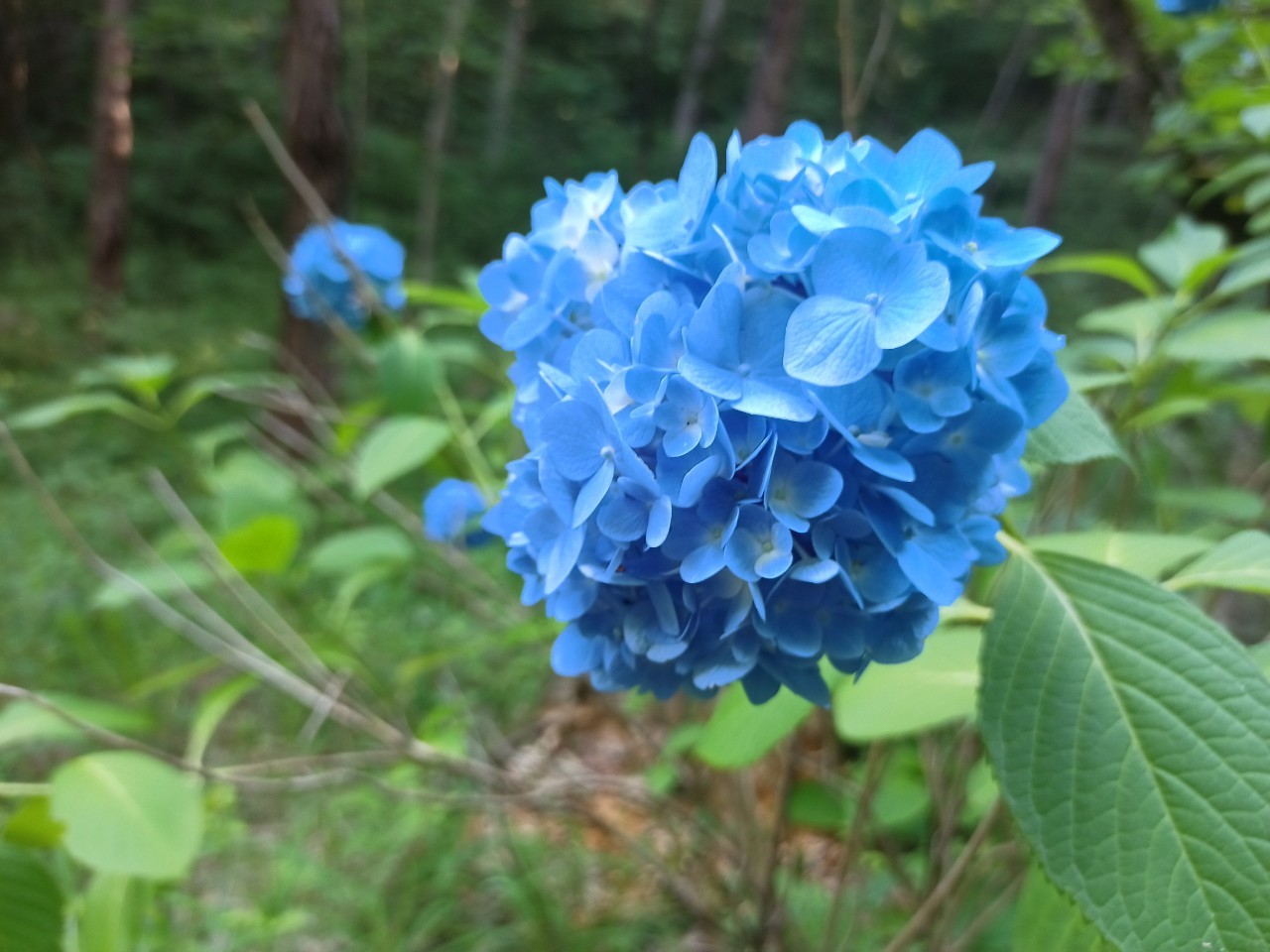 LINE_ALBUM_盃山_240630_193