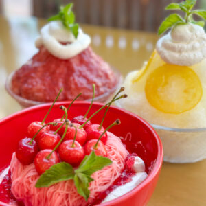 新品、供箱付　南部秀山 佐藤秀次郎造　１３型丸亀甲　テンペランス様　売約済 新品、供箱付 南部秀山 佐藤秀次郎造 13型丸亀甲 テンペランス様 売約