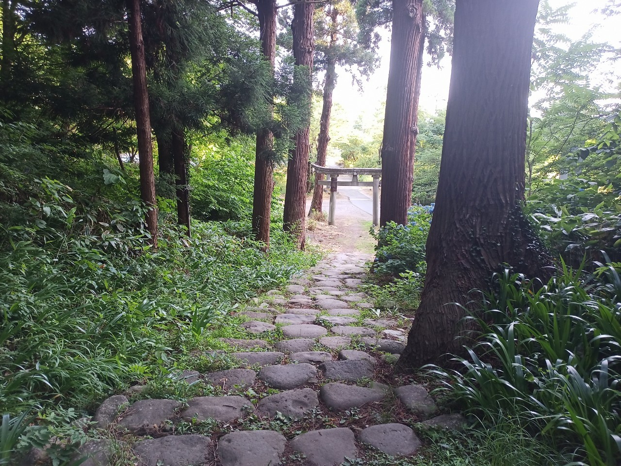 LINE_ALBUM_盃山_240630_13