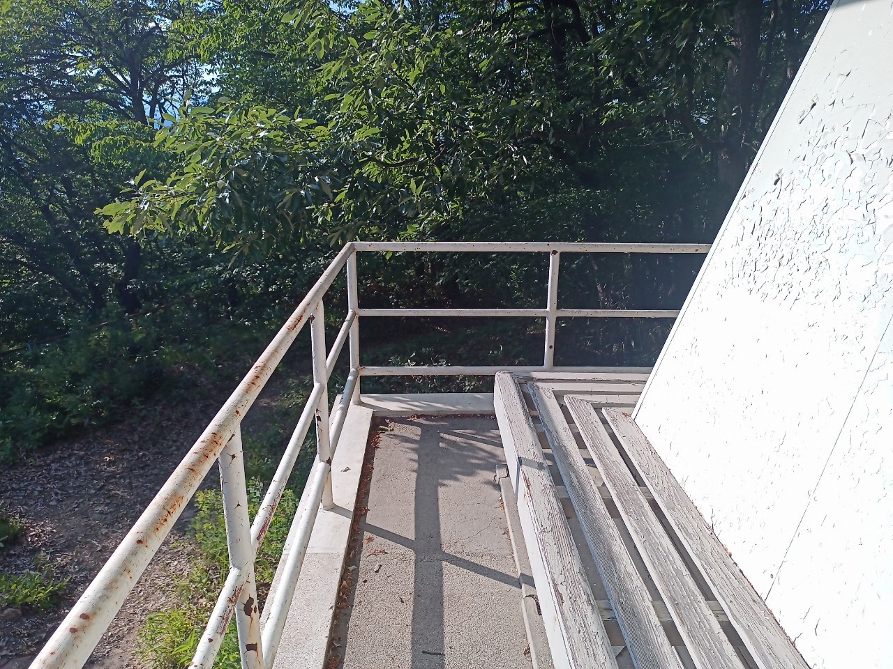 LINE_ALBUM_盃山_240630_122