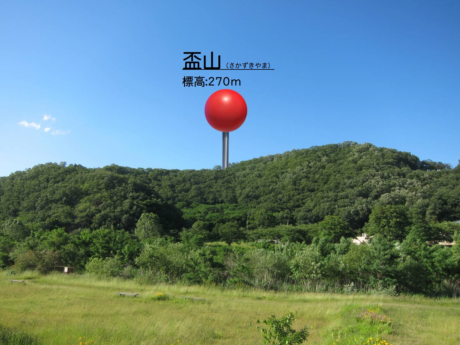 【山形登山レポ】紫陽花の咲く梅雨の「盃山」（山形市）に登って来ました！つよの山形百名山14/100｜低山活動記13