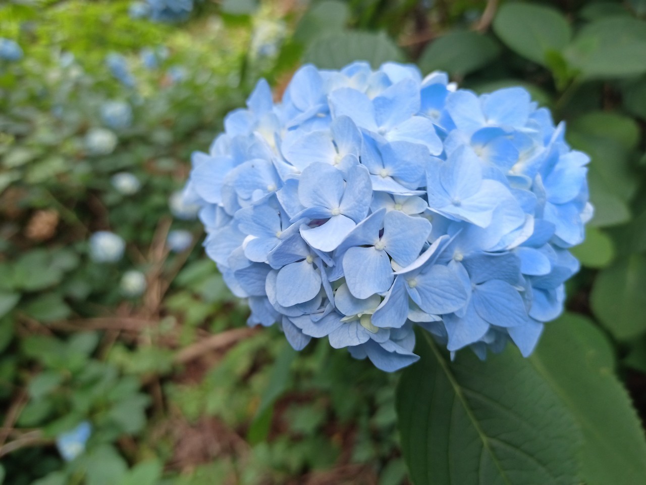 LINE_ALBUM_盃山2_240630_238