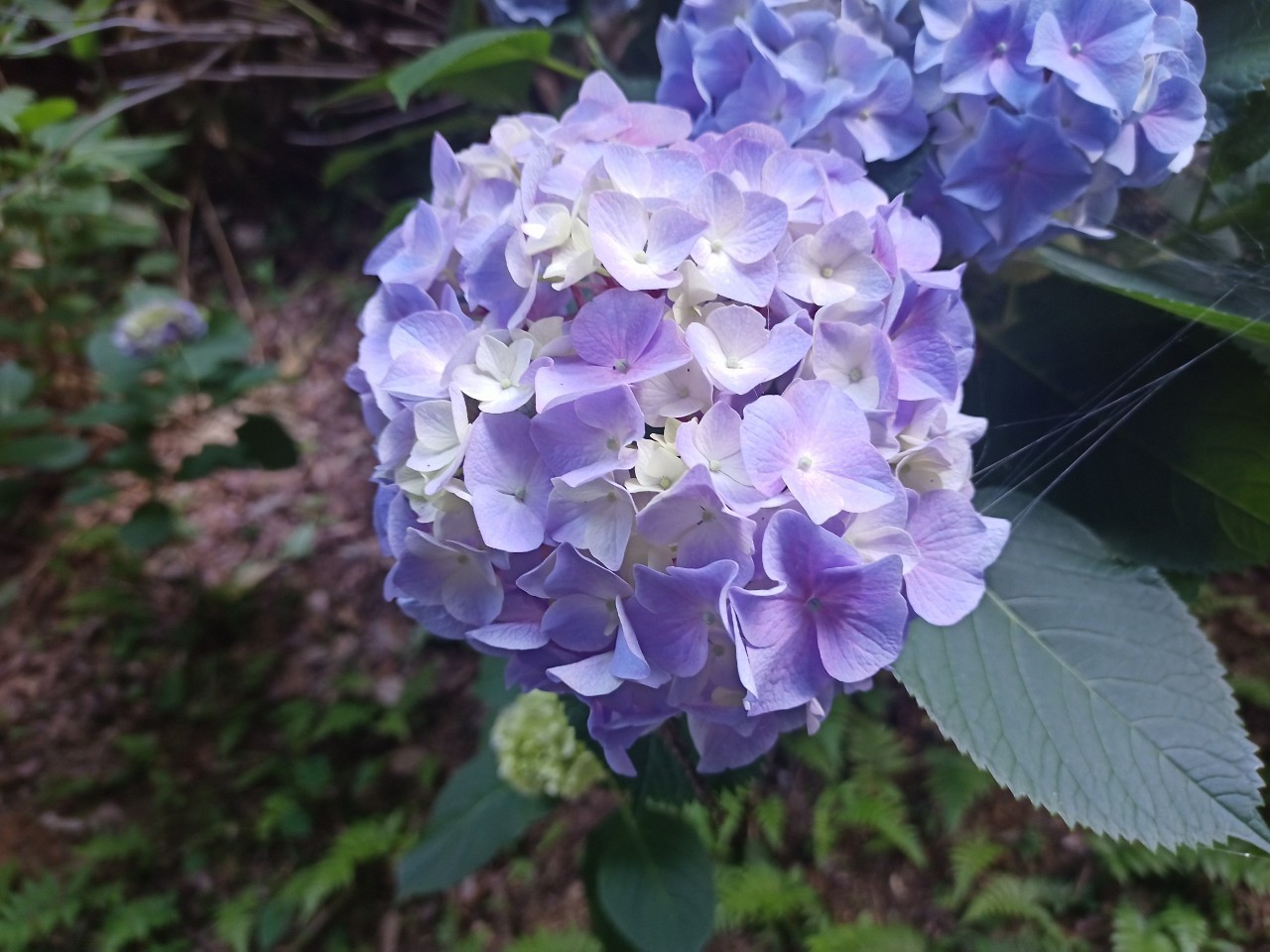 LINE_ALBUM_盃山_240630_24