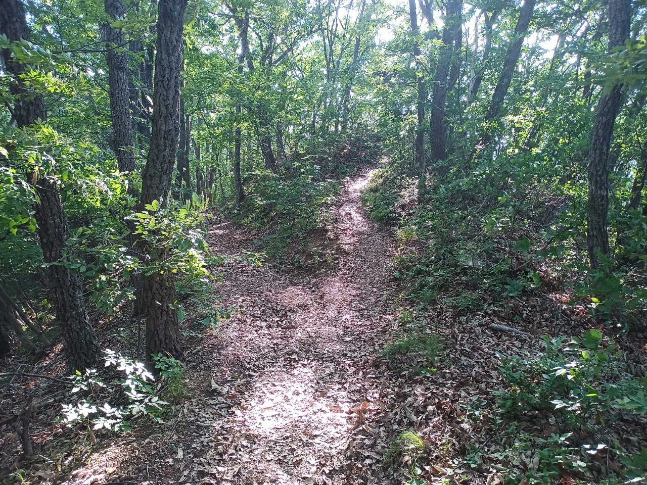 LINE_ALBUM_盃山_240630_147