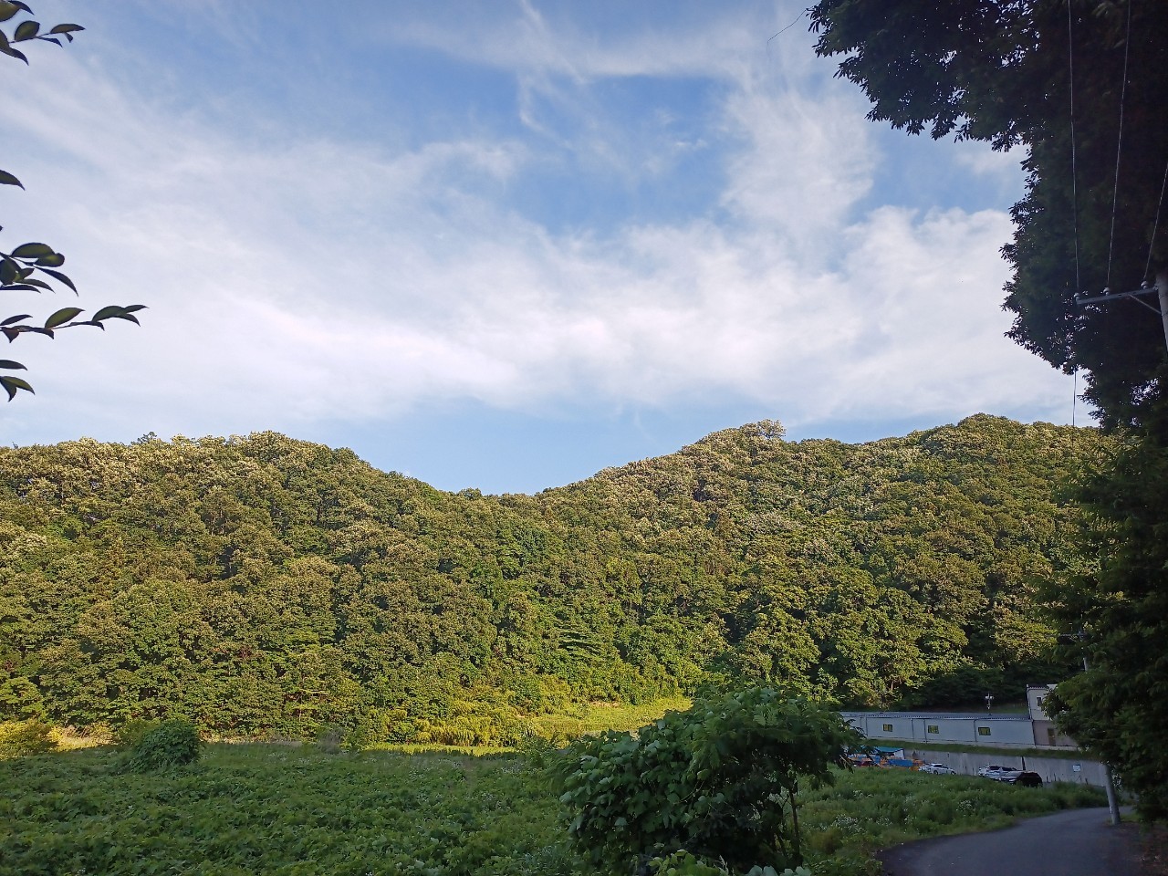 LINE_ALBUM_盃山_240630_87