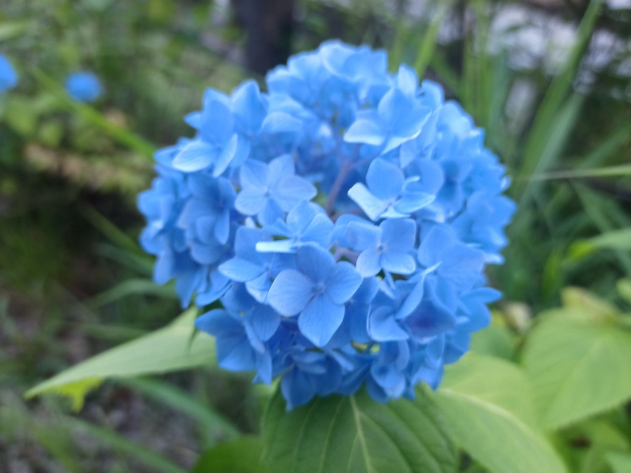 LINE_ALBUM_盃山_240630_42