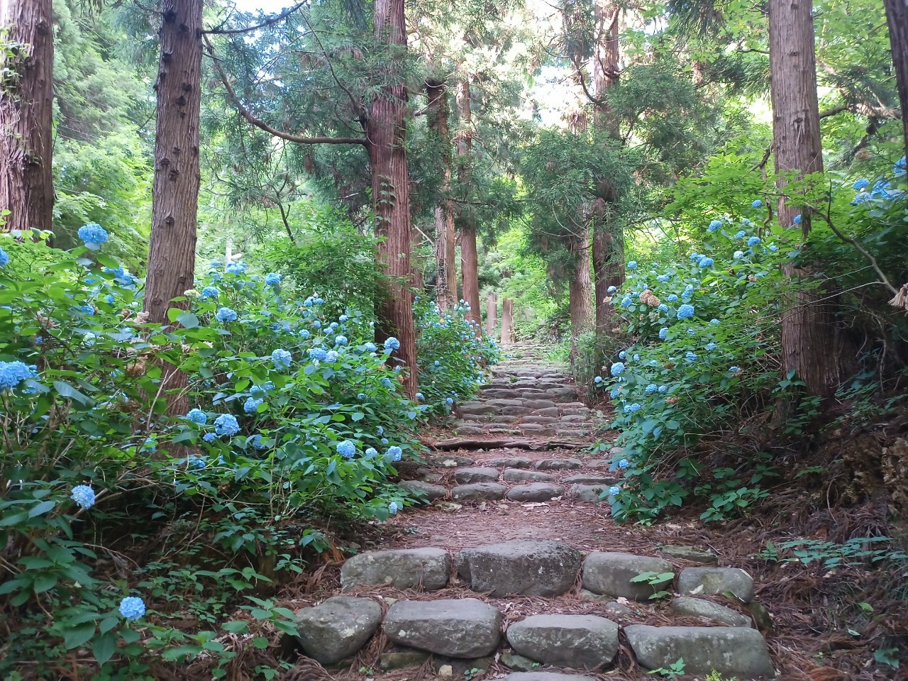 LINE_ALBUM_盃山_240630_254