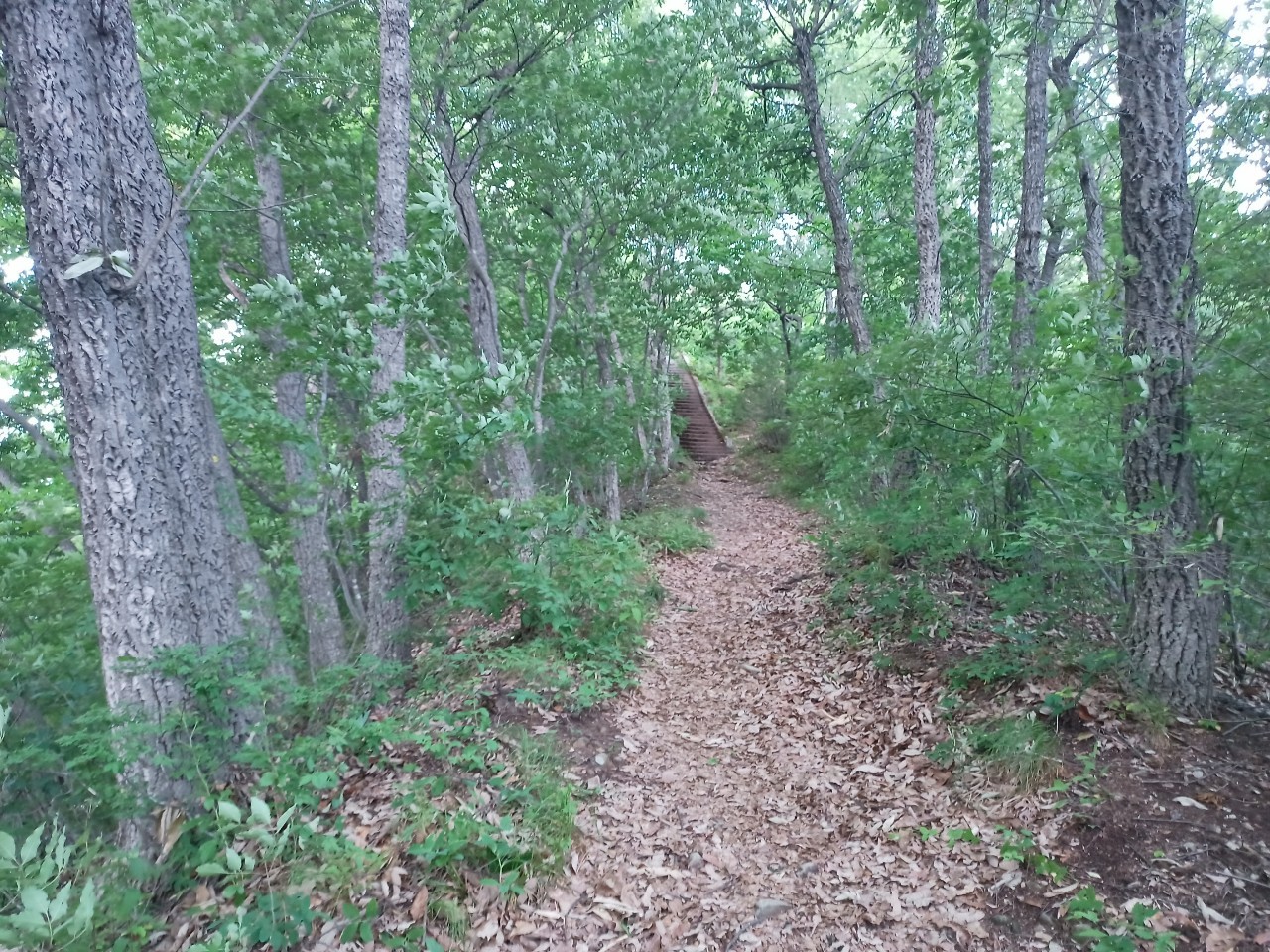 LINE_ALBUM_盃山2_240630_34